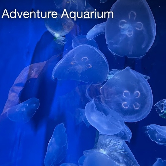 ๐ฅพ FULL ๐ฅพ Please filter high low for #21 or ladies jackets ๐ - Picture 6 of 16